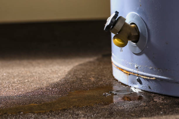Best Water damage contractors near me  in Westmont, PA