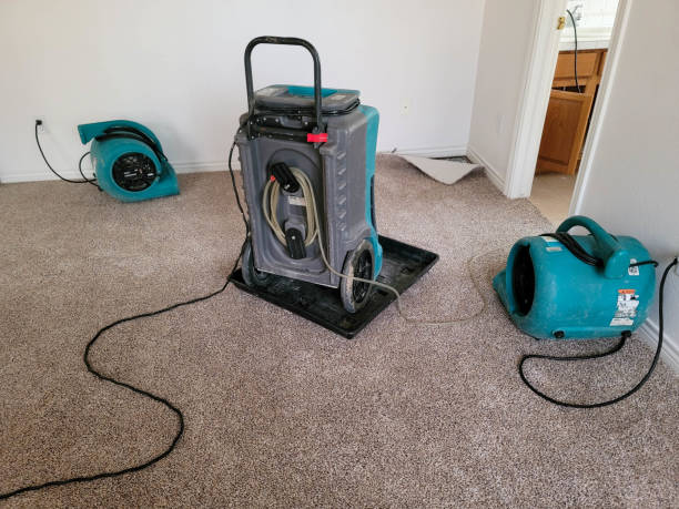Best Water damage cleanup near me  in Westmont, PA