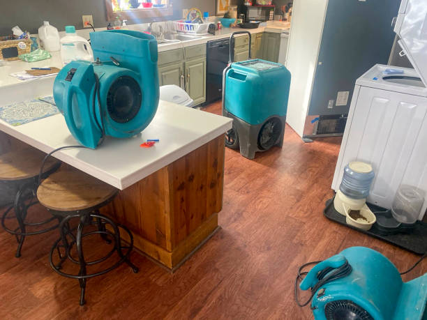 Best Water damage contractors near me  in Westmont, PA
