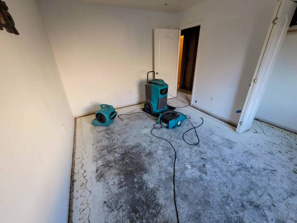 Best Water damage restoration near me  in Westmont, PA