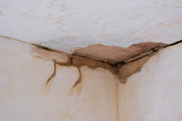 Best Professional water damage repair  in Westmont, PA