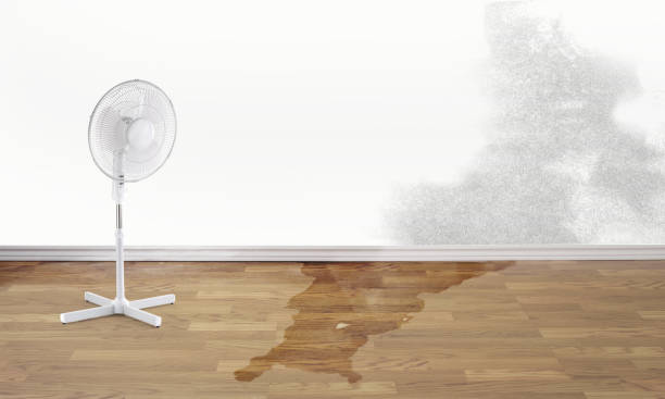 Best Flood damage cleanup  in Westmont, PA