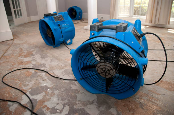 Best Flood damage cleanup  in Westmont, PA