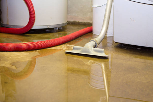 Local water damage restoration in Westmont, PA