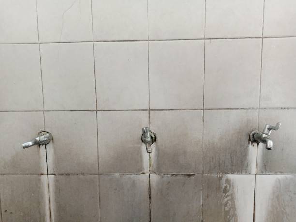 Best Emergency water damage restoration  in Westmont, PA