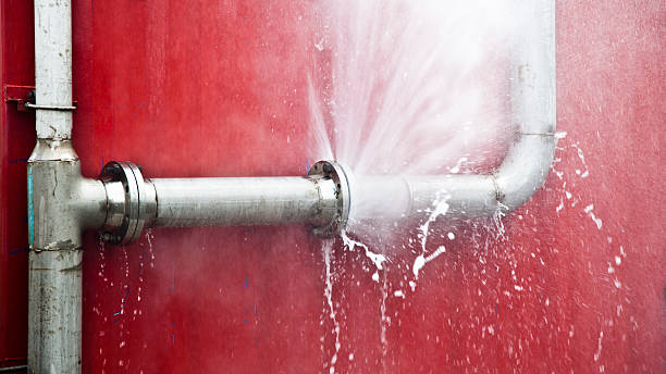 Best Sewage cleanup and water damage restoration  in Westmont, PA