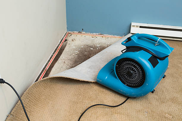 Best Local water damage restoration  in Westmont, PA